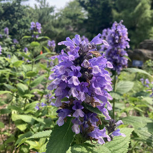 Meet your Posher, Ar